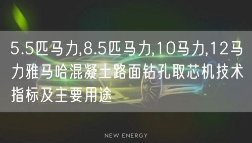 5.5匹馬力,8.5匹馬力,10馬力,12馬力雅馬哈混凝土路面鉆孔取芯機技術(shù)指標及主要用途(圖1)