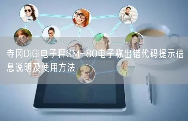 寺岡DiGi電子秤SM-80電子稱出錯代碼提示信息說明及使用方法(圖1)