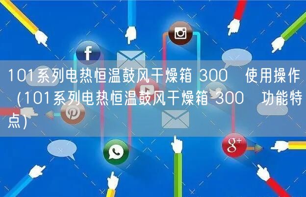 101系列電熱恒溫鼓風干燥箱 300℃使用操作（101系列電熱恒溫鼓風干燥箱 300℃功能特點）(圖1)