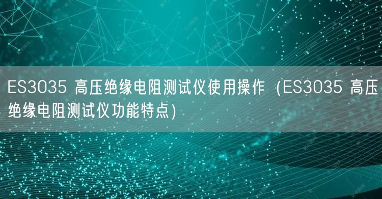 ES3035 高壓絕緣電阻測試儀使用操作（ES3035 高壓絕緣電阻測試儀功能特點(diǎn)）(圖1)