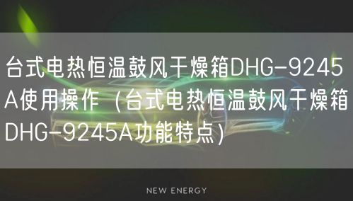 臺(tái)式電熱恒溫鼓風(fēng)干燥箱DHG-9245A使用操作（臺(tái)式電熱恒溫鼓風(fēng)干燥箱DHG-9245A功能特點(diǎn)）(圖1)