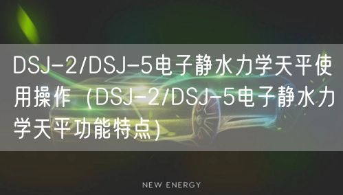 DSJ-2/DSJ-5電子靜水力學(xué)天平使用操作（DSJ-2/DSJ-5電子靜水力學(xué)天平功能特點(diǎn)）(圖1)